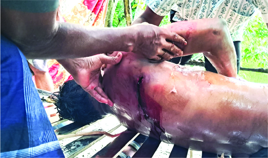 Image of মামুন সরদার